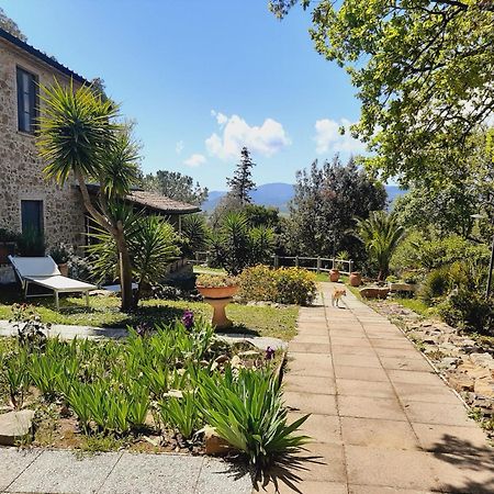 Agriturismo E Glamping Serraiola Alta Monterotondo  Exterior foto